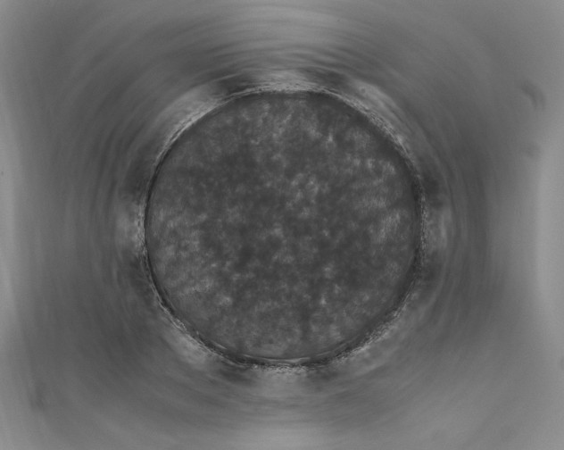 X0000111470889200907271309