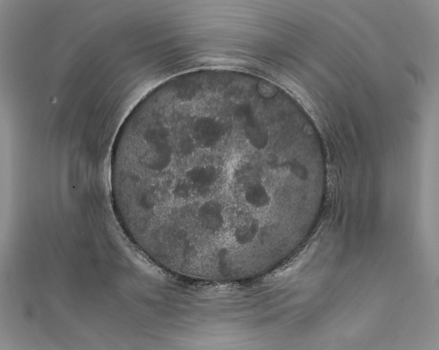 X0000111470891200907271309