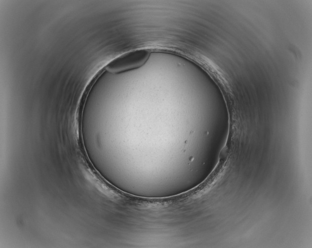 X0000111470892200907271309