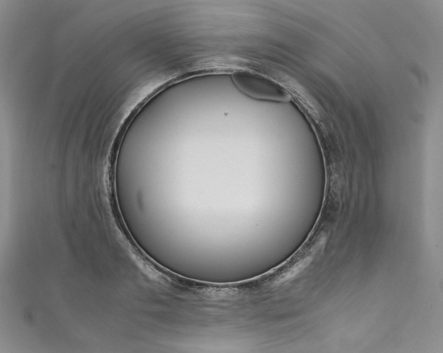 X0000111470893200907271309