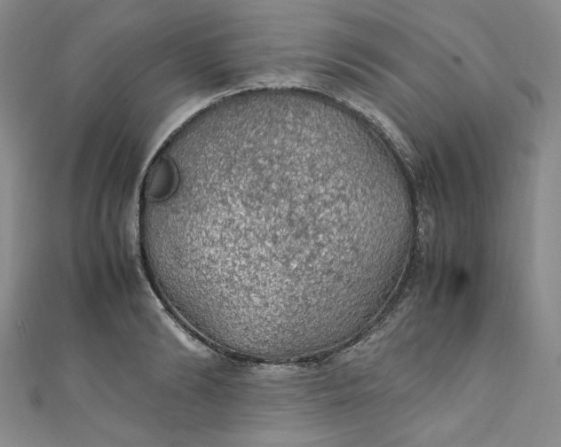 X0000111470894200907271309