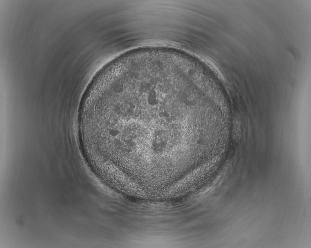 X0000111470895200907271309