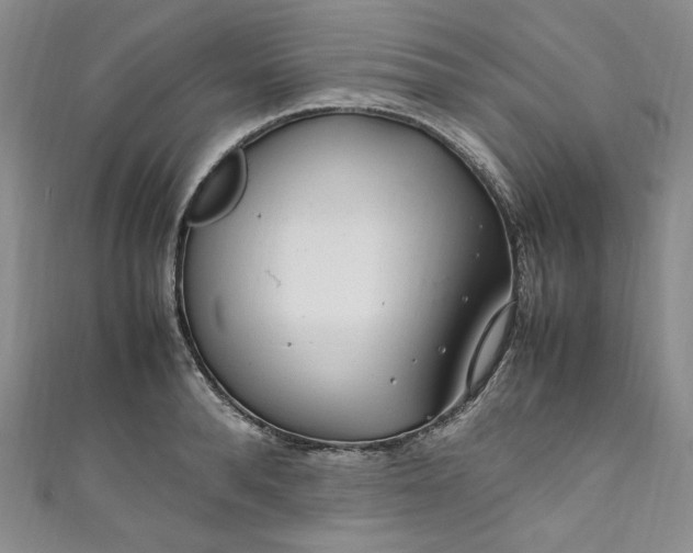 X0000111470896200907271309