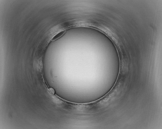 X0000111470897200907271309