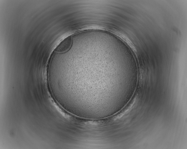 X0000111470898200907271309