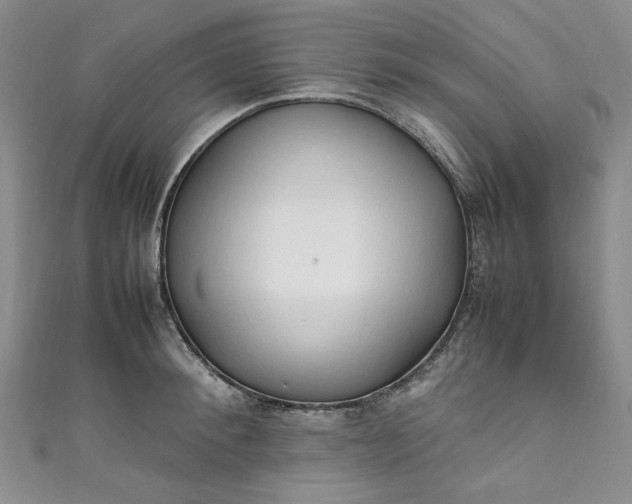 X0000111470900200907271309