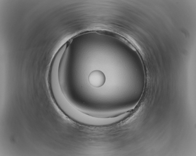 X0000111470901200907271309