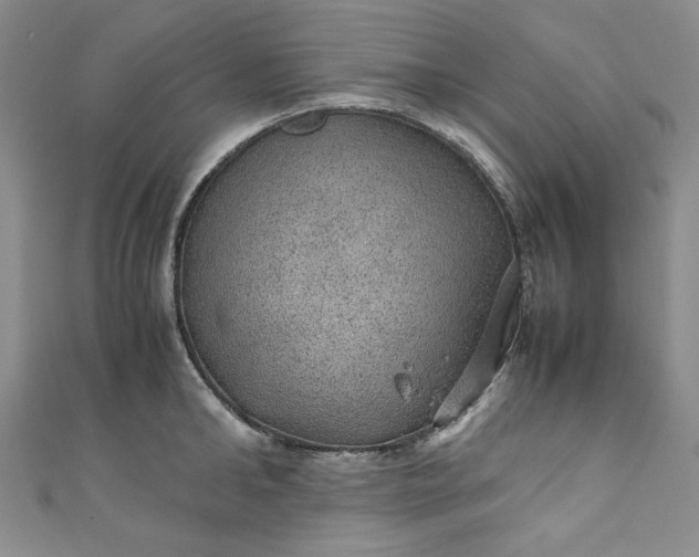 X0000111470902200907271309