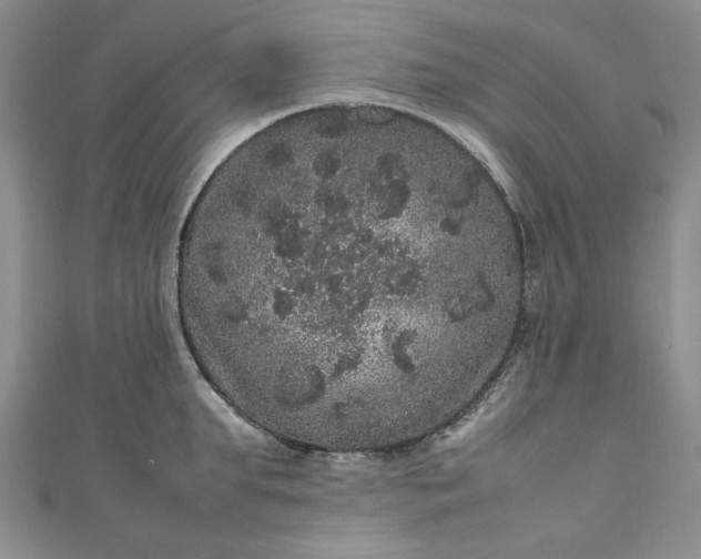 X0000111470903200907271309