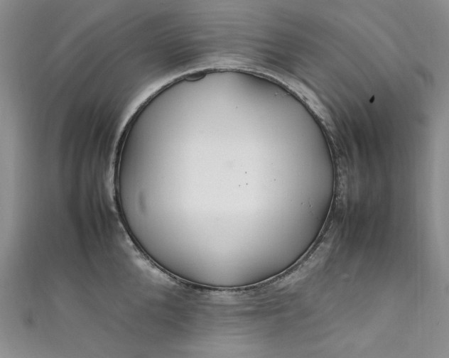 X0000111470904200907271309