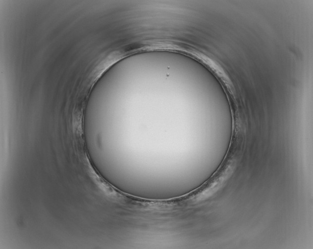 X0000111470905200907271309