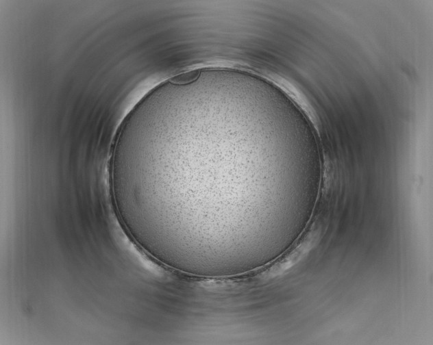 X0000111470906200907271309