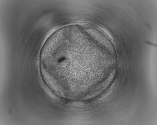 X0000111470907200907271309