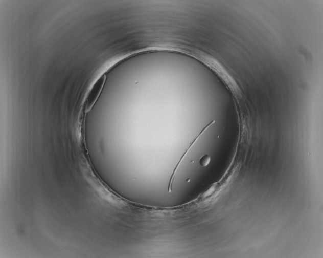 X0000111470908200907271309