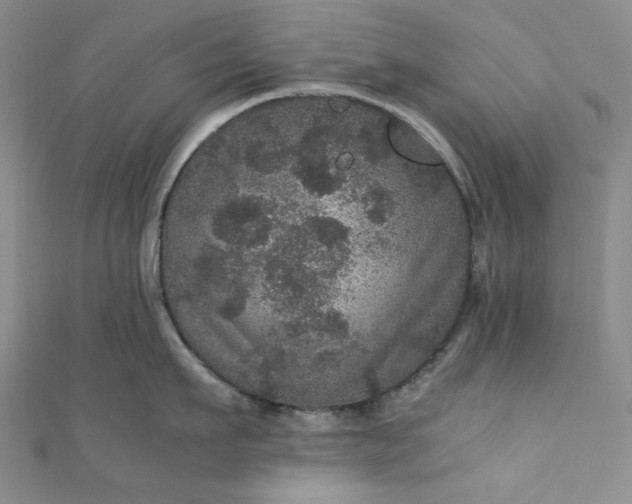 X0000111470911200907271309