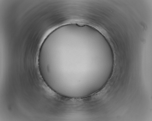 X0000111470912200907271309