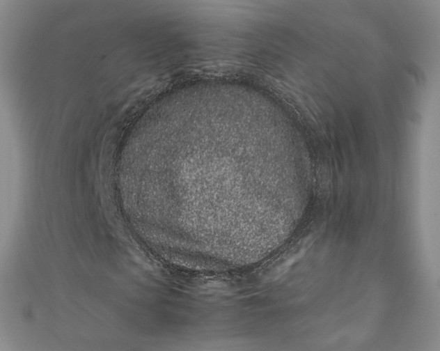 X0000111470913200907271308