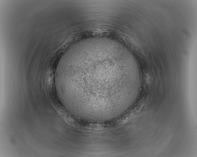 X0000111470914200907271308