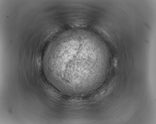 X0000111470915200907271308