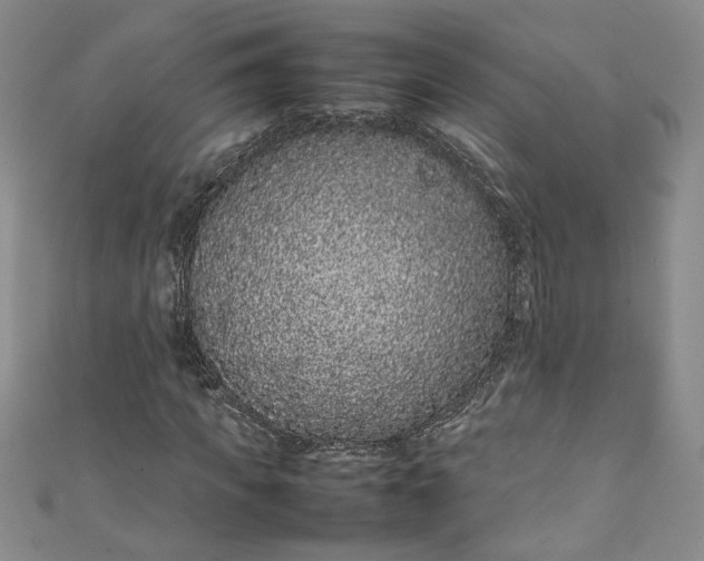 X0000111470917200907271308