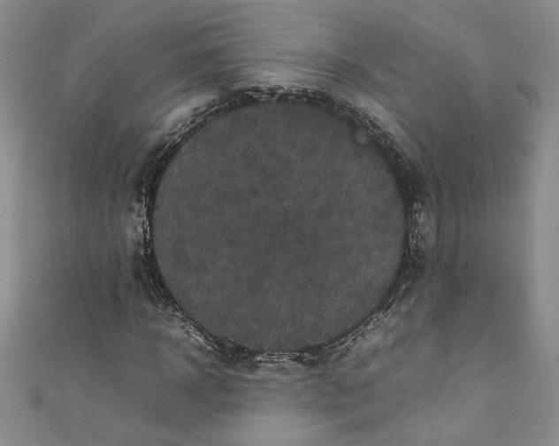 X0000111470918200907271308