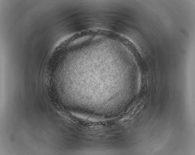 X0000111470919200907271308