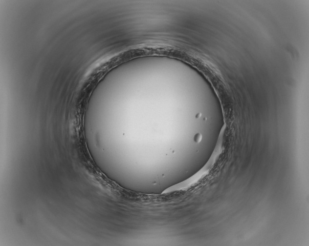 X0000111470920200907271308