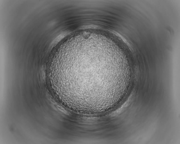 X0000111470921200907271308