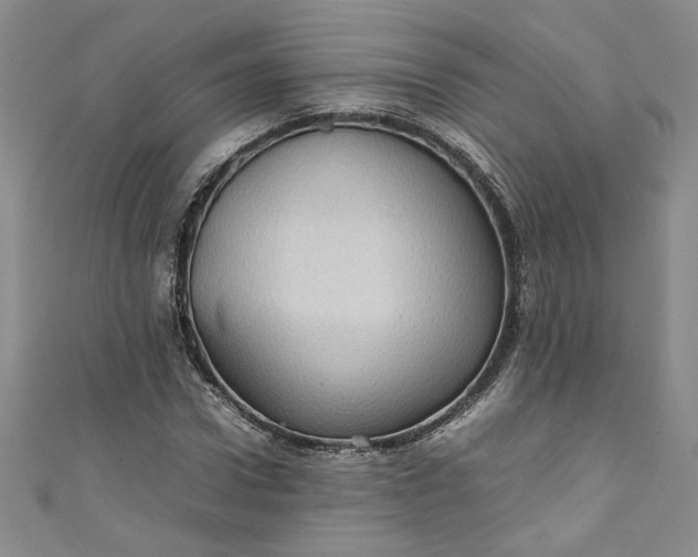 X0000111470922200907271308