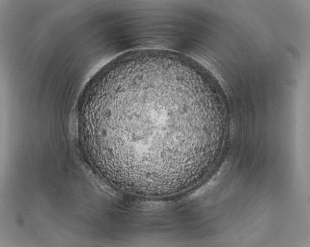 X0000111470925200907271308