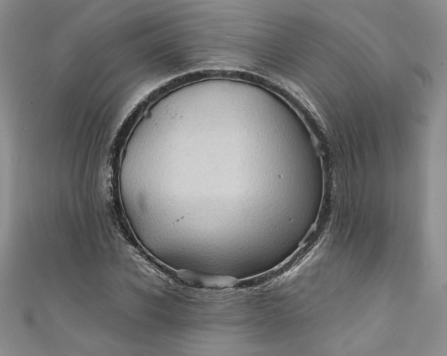 X0000111470926200907271308