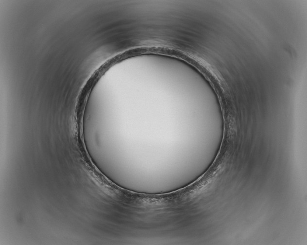 X0000111470927200907271308