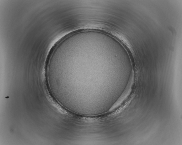 X0000111470928200907271308