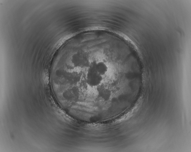 X0000111470929200907271308