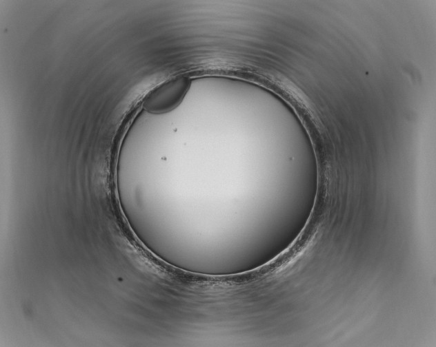 X0000111470930200907271308