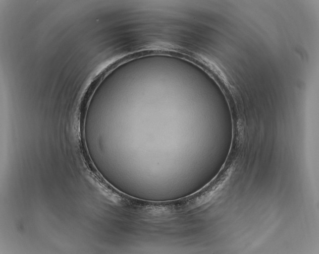 X0000111470931200907271308