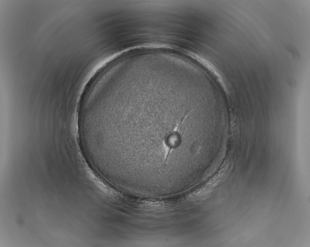 X0000111470935200907271308