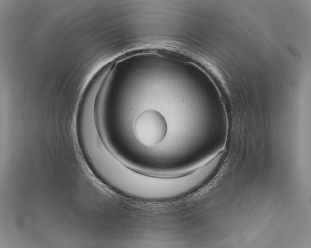 X0000111470936200907271308