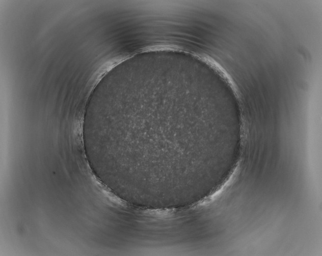 X0000111470937200907271308