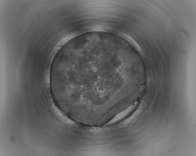 X0000111470938200907271308