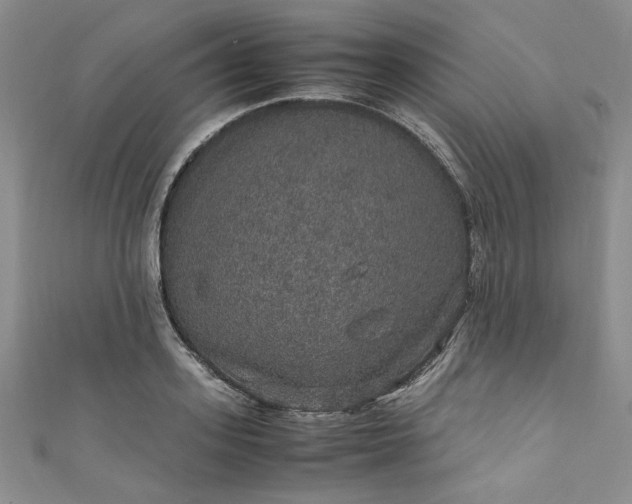 X0000111470939200907271309