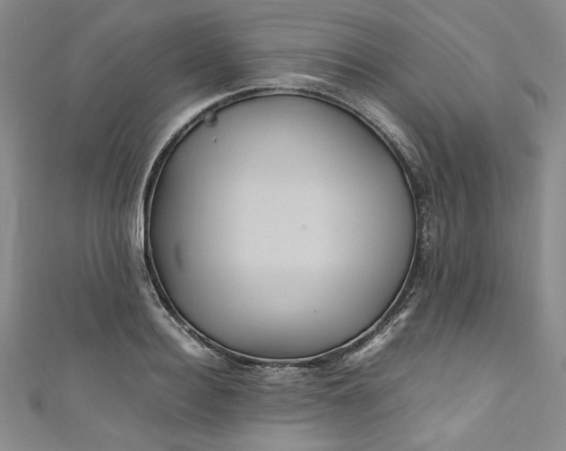 X0000111470940200907271309