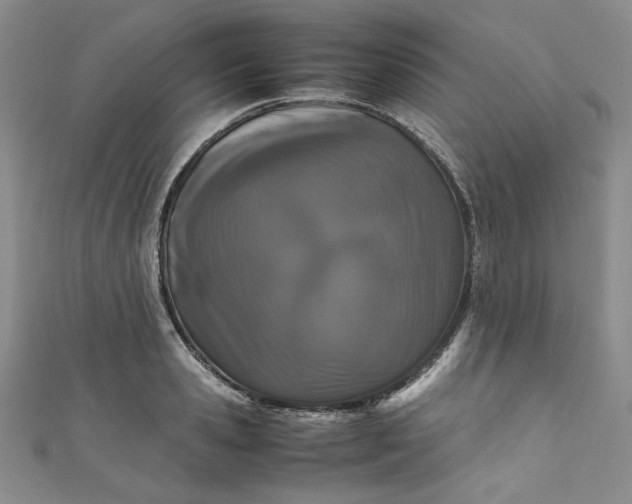 X0000111470941200907271309