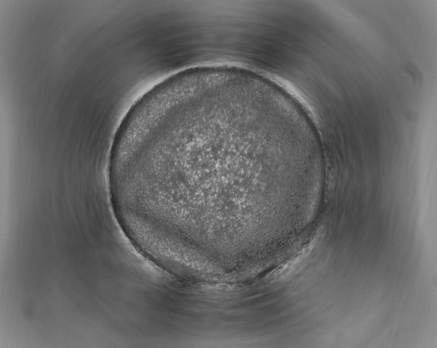 X0000111470943200907271309