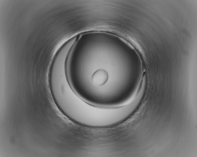 X0000111470944200907271309