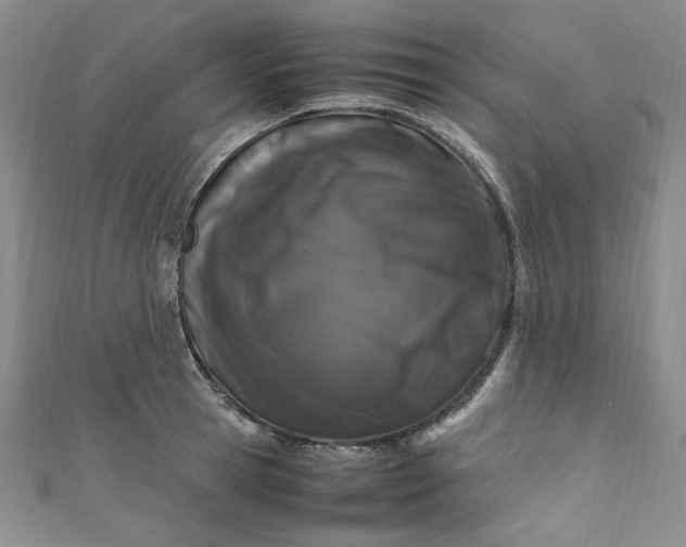 X0000111470945200907271309