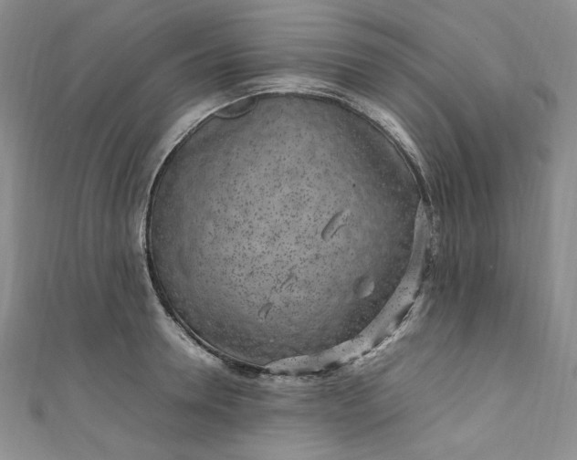 X0000111470946200907271309