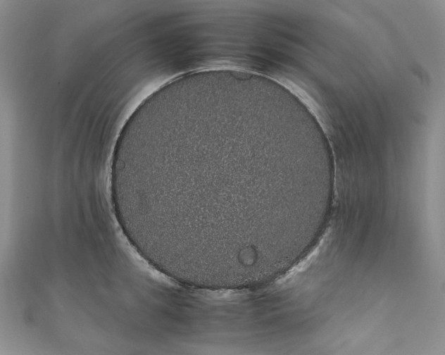 X0000111470949200907271309