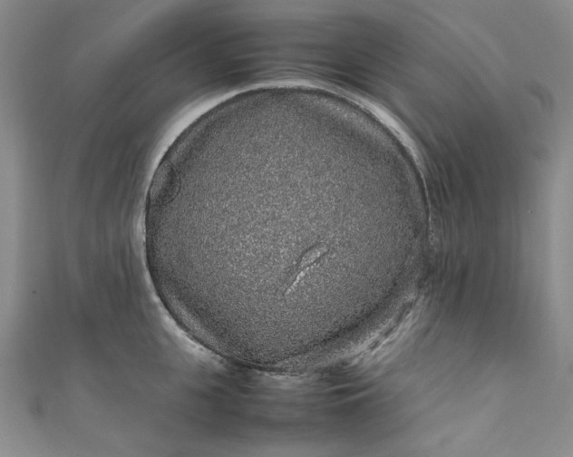 X0000111470951200907271309