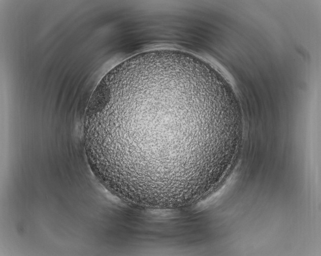 X0000111470953200907271309